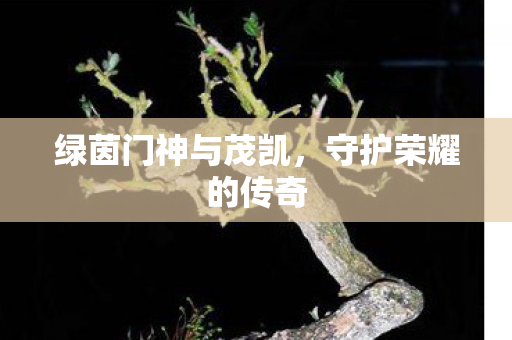 绿茵门神与茂凯,守护荣耀的传奇 绿茵门神与茂凯,守护荣耀的传奇