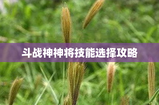 斗战神神将技能选择攻略 斗战神神将技能选择攻略