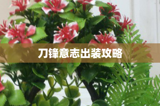 刀锋意志出装攻略 刀锋意志出装攻略