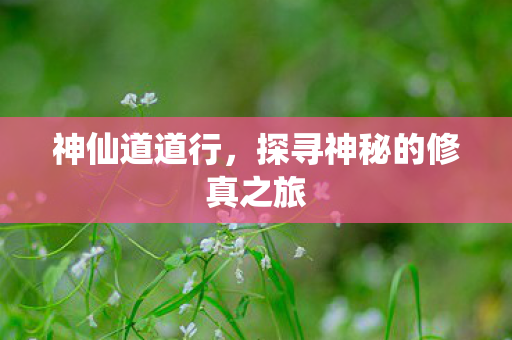 神仙道道行,探寻神秘的修真之旅 神仙道道行,探寻神秘的修真之旅