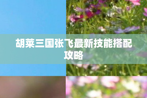 胡莱三国张飞最新技能搭配攻略 胡莱三国张飞最新技能搭配攻略