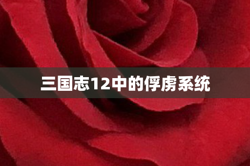 三国志12中的俘虏系统