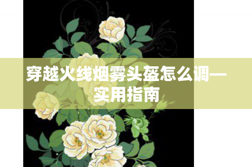 穿越火线烟雾头盔怎么调—实用指南 穿越火线烟雾头盔怎么调—实用指南