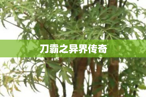 刀霸之异界传奇 刀霸之异界传奇