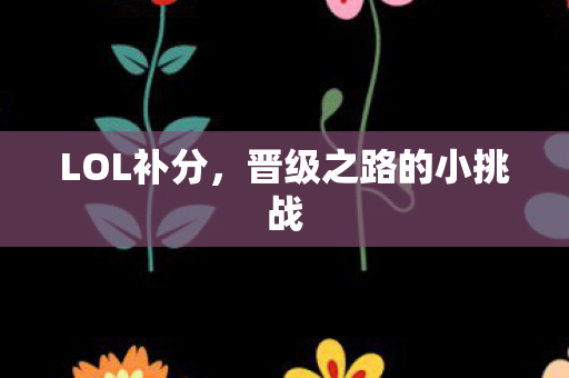 LOL补分,晋级之路的小挑战 LOL补分,晋级之路的小挑战