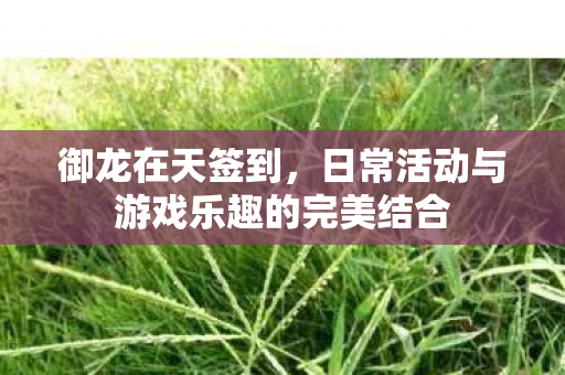 御龙在天签到,日常活动与游戏乐趣的完美结合 御龙在天签到,日常活动与游戏乐趣的完美结合