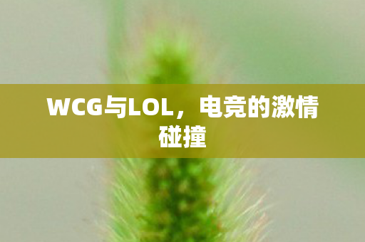 WCG与LOL,电竞的激情碰撞 WCG与LOL,电竞的激情碰撞