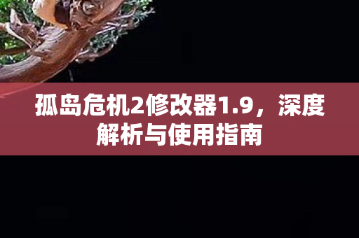 孤岛危机2修改器1.9，深度解析与使用指南