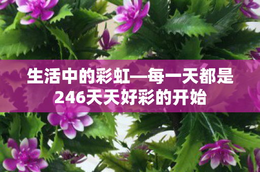 生活中的彩虹—每一天都是246天天好彩的开始 生活中的彩虹—每一天都是246天天好彩的开始