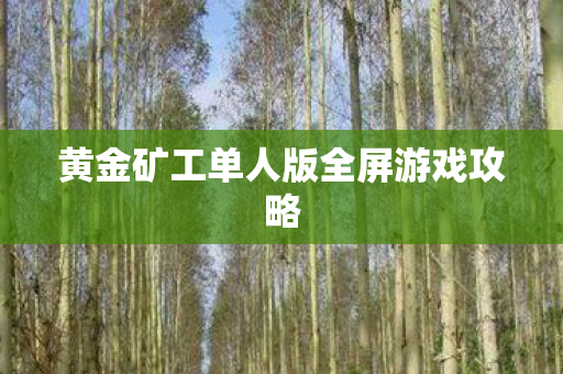 黄金矿工单人版全屏游戏攻略 黄金矿工单人版全屏游戏攻略