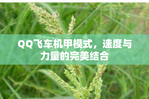QQ飞车机甲模式,速度与力量的完美结合 QQ飞车机甲模式,速度与力量的完美结合