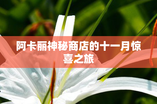 阿卡丽神秘商店的十一月惊喜之旅 阿卡丽神秘商店的十一月惊喜之旅