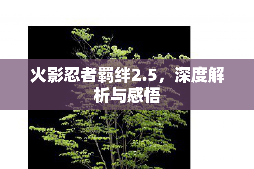 火影忍者羁绊2.5,深度解析与感悟 火影忍者羁绊2.5,深度解析与感悟