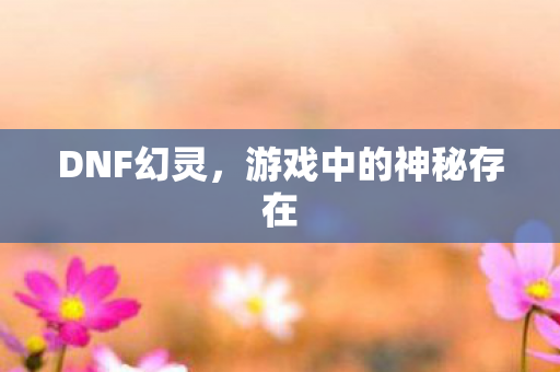 DNF幻灵,游戏中的神秘存在 DNF幻灵,游戏中的神秘存在