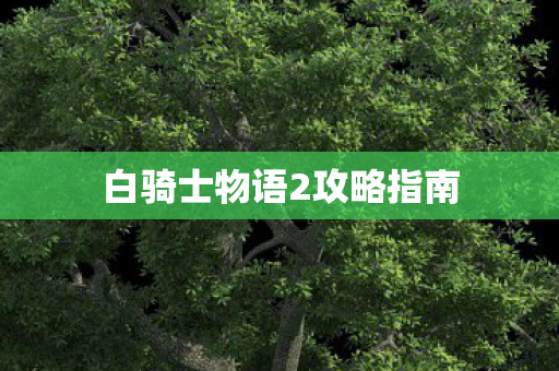 白骑士物语2攻略指南 白骑士物语2攻略指南
