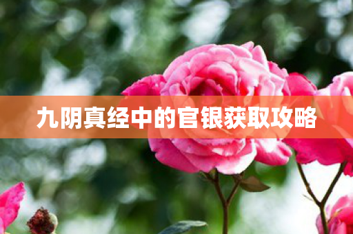 九阴真经中的官银获取攻略 九阴真经中的官银获取攻略