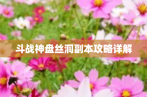 斗战神盘丝洞副本攻略详解 斗战神盘丝洞副本攻略详解
