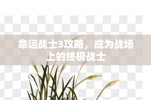 命运战士3攻略,成为战场上的终极战士 命运战士3攻略,成为战场上的终极战士