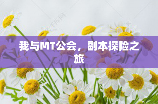我与MT公会,副本探险之旅 我与MT公会,副本探险之旅