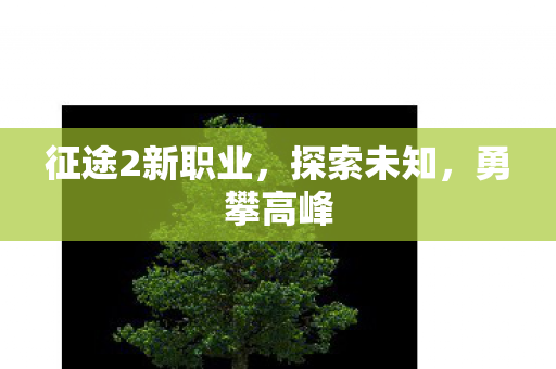征途2新职业,探索未知,勇攀高峰 征途2新职业,探索未知,勇攀高峰
