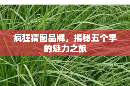 疯狂猜图品牌,揭秘五个字的魅力之旅 疯狂猜图品牌,揭秘五个字的魅力之旅