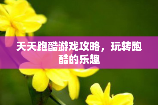 天天跑酷游戏攻略,玩转跑酷的乐趣 天天跑酷游戏攻略,玩转跑酷的乐趣