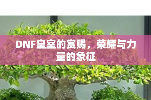 DNF皇室的赏赐,荣耀与力量的象征 DNF皇室的赏赐,荣耀与力量的象征