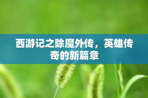 西游记之除魔外传,英雄传奇的新篇章 西游记之除魔外传,英雄传奇的新篇章