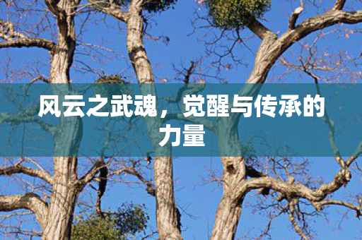 风云之武魂，觉醒与传承的力量