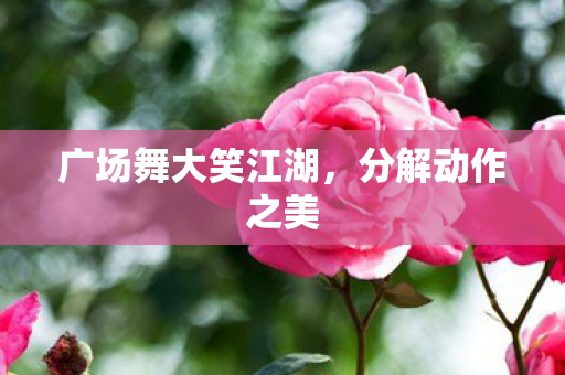 广场舞大笑江湖，分解动作之美