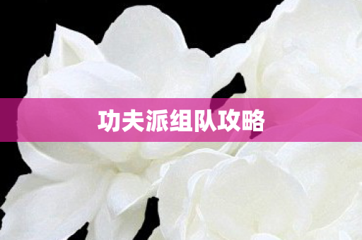 功夫派组队攻略 功夫派组队攻略