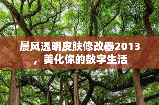 晨风透明皮肤修改器2013,美化你的数字生活 晨风透明皮肤修改器2013,美化你的数字生活