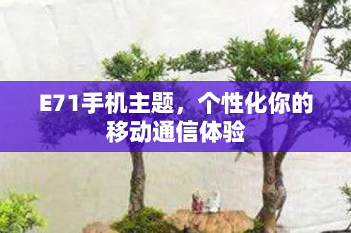 E71手机主题,个性化你的移动通信体验 E71手机主题,个性化你的移动通信体验