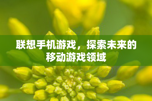 联想手机游戏,探索未来的移动游戏领域 联想手机游戏,探索未来的移动游戏领域