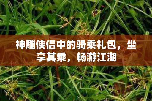 神雕侠侣中的骑乘礼包,坐享其乘,畅游江湖 神雕侠侣中的骑乘礼包,坐享其乘,畅游江湖