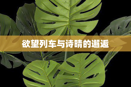 欲望列车与诗晴的邂逅 欲望列车与诗晴的邂逅