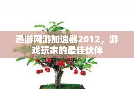 迅游网游加速器2012,游戏玩家的最佳伙伴 迅游网游加速器2012,游戏玩家的最佳伙伴
