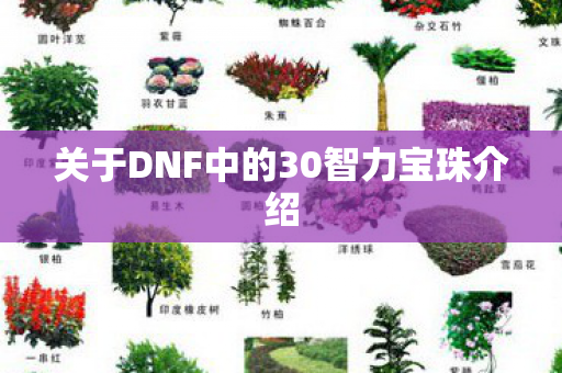 关于DNF中的30智力宝珠介绍