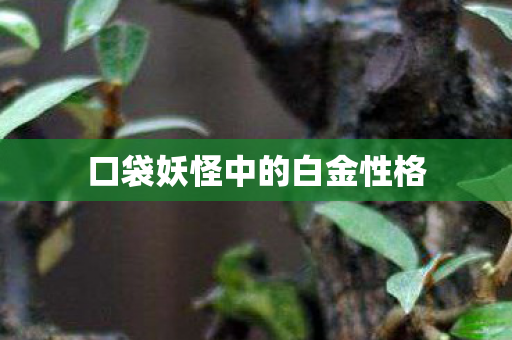 口袋妖怪中的白金性格