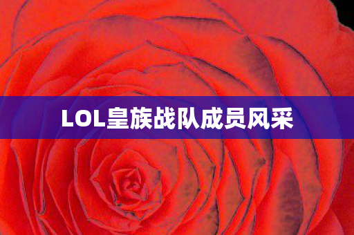 LOL皇族战队成员风采 LOL皇族战队成员风采