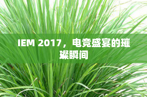 IEM 2017,电竞盛宴的璀璨瞬间 IEM 2017,电竞盛宴的璀璨瞬间