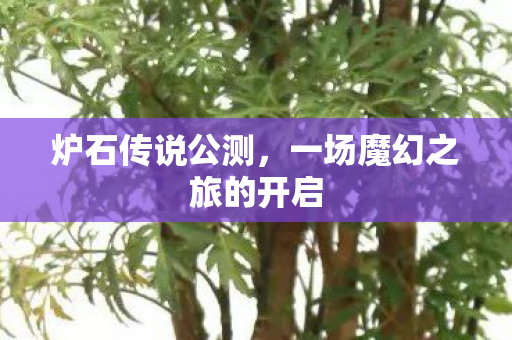 炉石传说公测,一场魔幻之旅的开启 炉石传说公测,一场魔幻之旅的开启