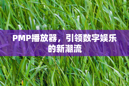 PMP播放器，引领数字娱乐的新潮流