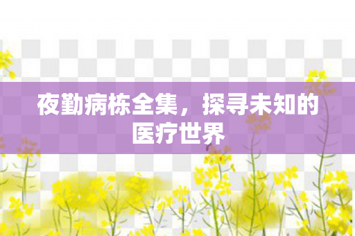 夜勤病栋全集,探寻未知的医疗世界 夜勤病栋全集,探寻未知的医疗世界