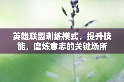 英雄联盟训练模式，提升技能，磨炼意志的关键场所