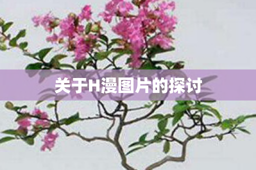 关于H漫图片的探讨