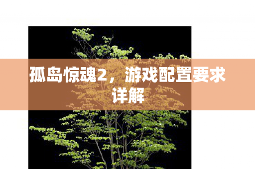孤岛惊魂2,游戏配置要求详解 孤岛惊魂2,游戏配置要求详解