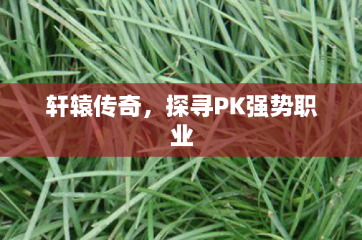 轩辕传奇,探寻PK强势职业 轩辕传奇,探寻PK强势职业