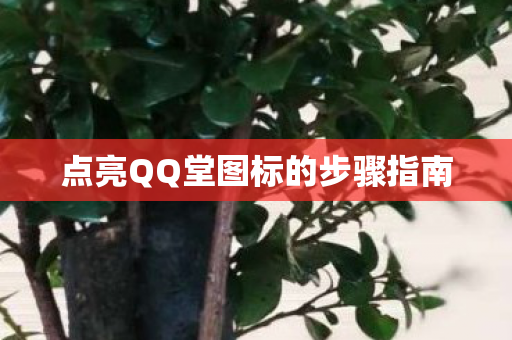 点亮QQ堂图标的步骤指南 点亮QQ堂图标的步骤指南