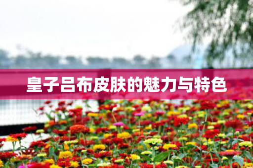 皇子吕布皮肤的魅力与特色 皇子吕布皮肤的魅力与特色